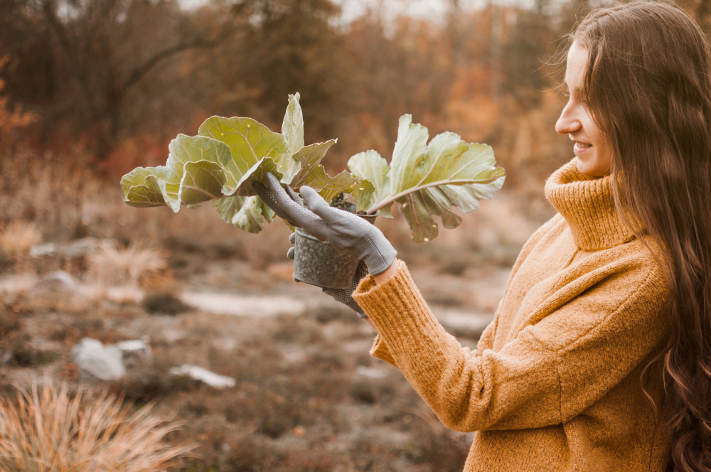Slow life daje ci chwilę na docenienie i wdzięczność.